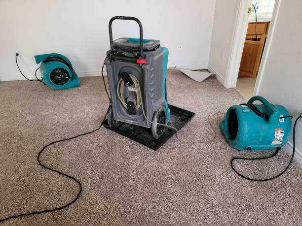 Best Local water damage restoration  in Fabrica, TX
