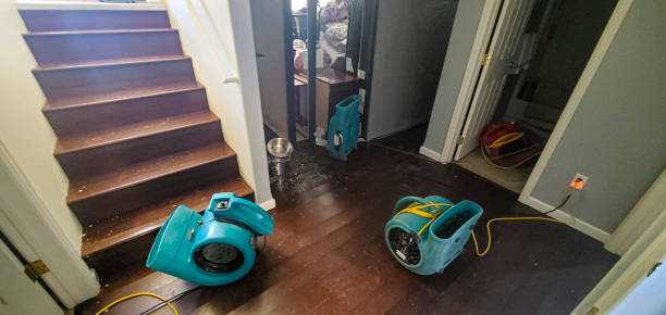 Best Ceiling water damage repair  in Fabrica, TX