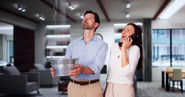 Best Fire Damage Restoration  in Fabrica, TX